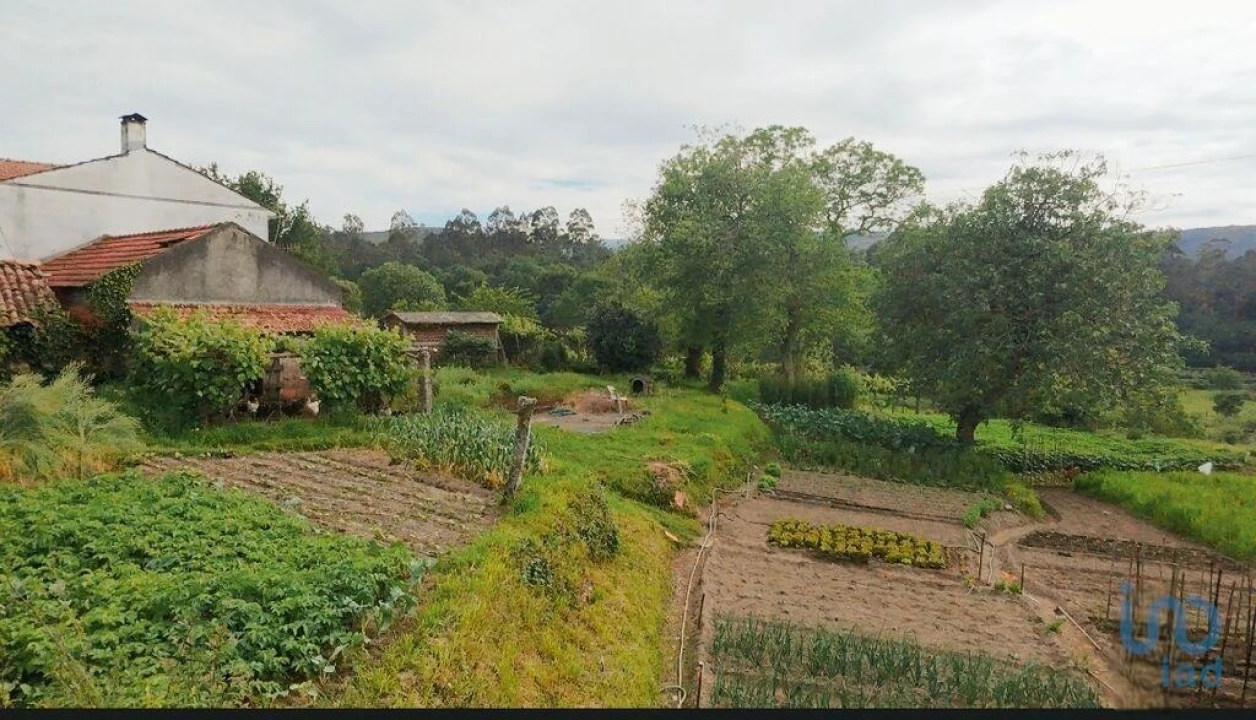 Moradia T2 para Venda em Coura Foto 2