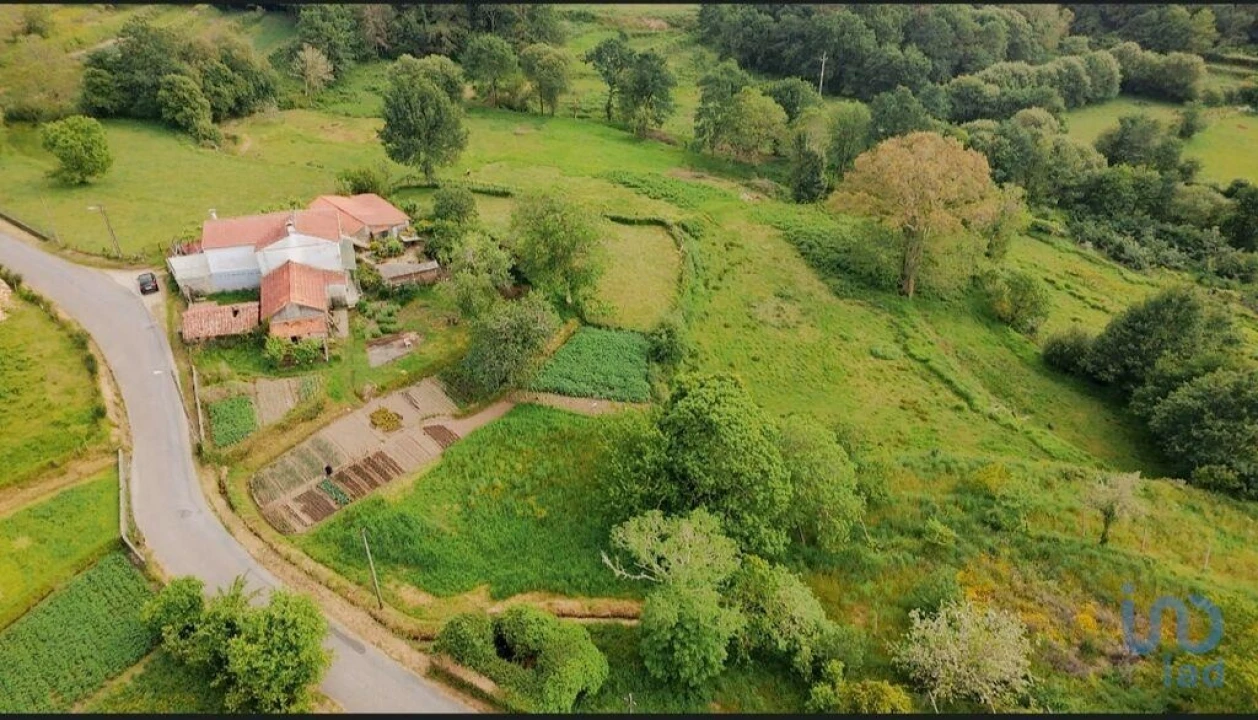 Moradia T2 para Venda em Coura Foto 1