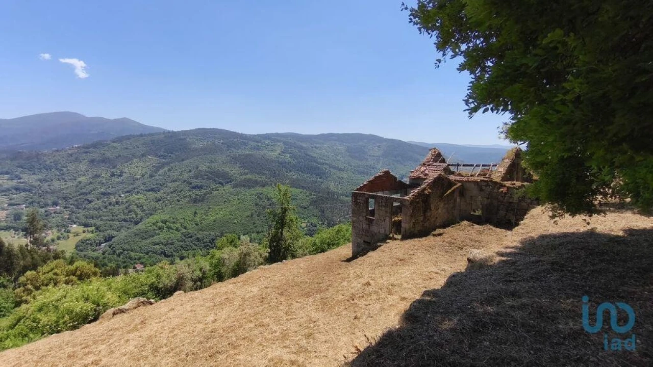 Terreno para Venda em Santa Ovaia e Vila Pouca da Beira Foto 9