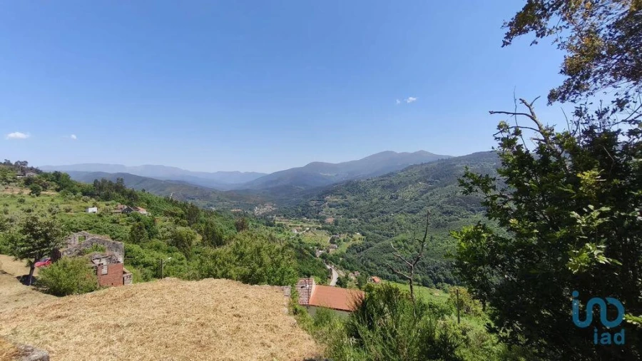 Terreno para Venda em Santa Ovaia e Vila Pouca da Beira Foto 11