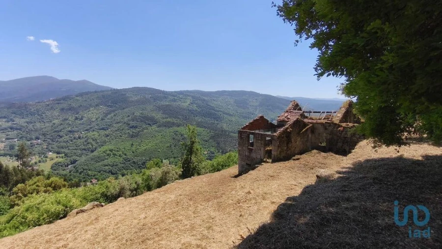 Terreno para Venda em Santa Ovaia e Vila Pouca da Beira Foto 9