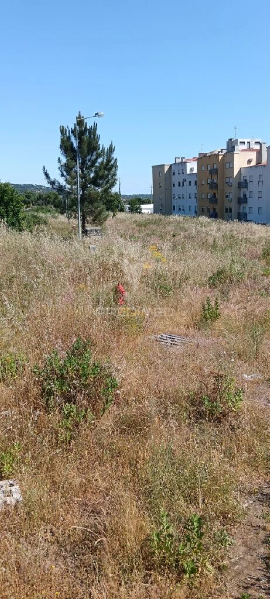 Terreno para Venda em Ribeira de Nisa e Carreiras Foto 5