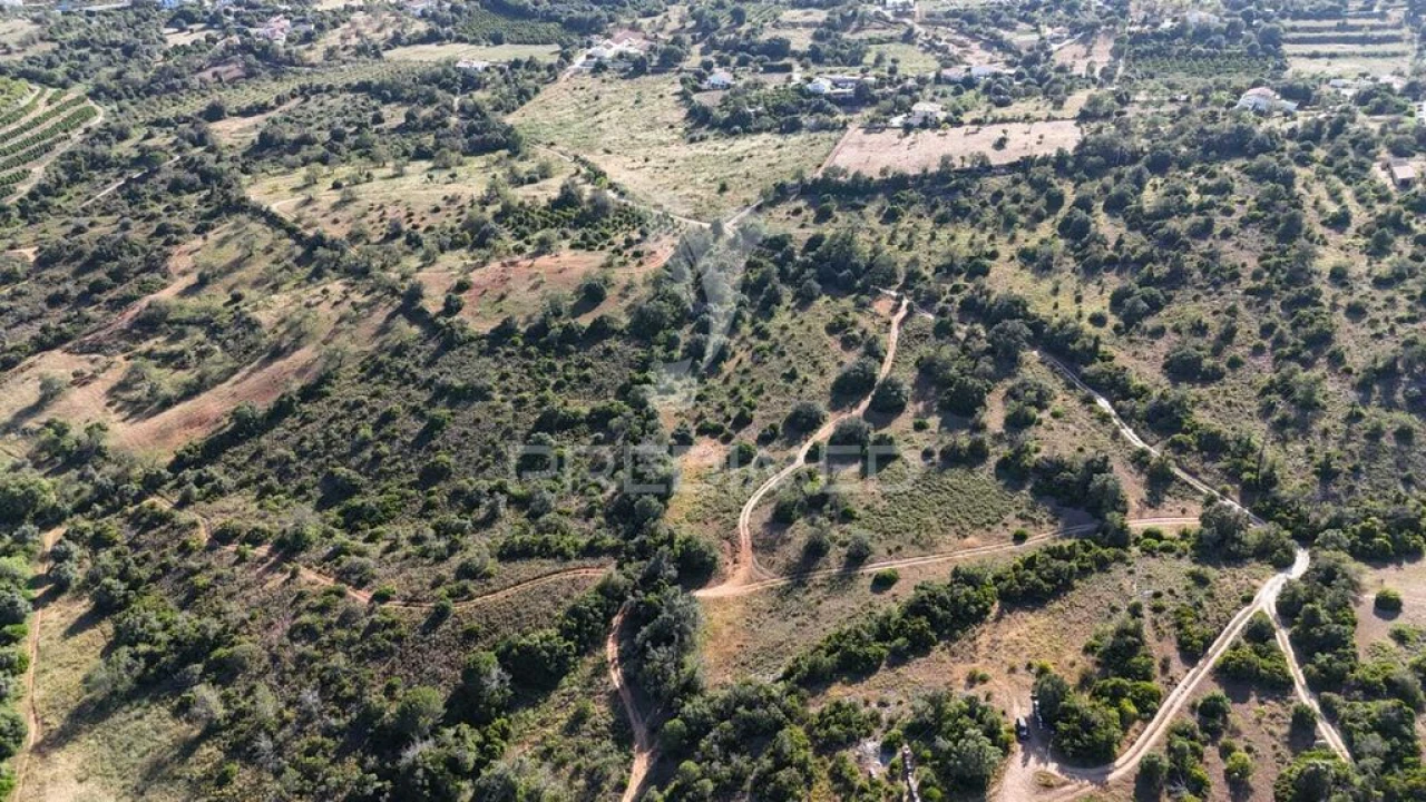 Terreno para Venda em Ferreiras Foto 2