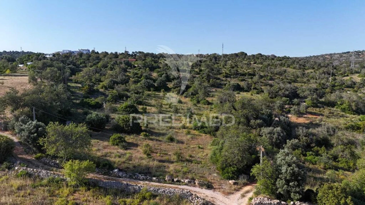 Terreno para Venda em Ferreiras Foto 4