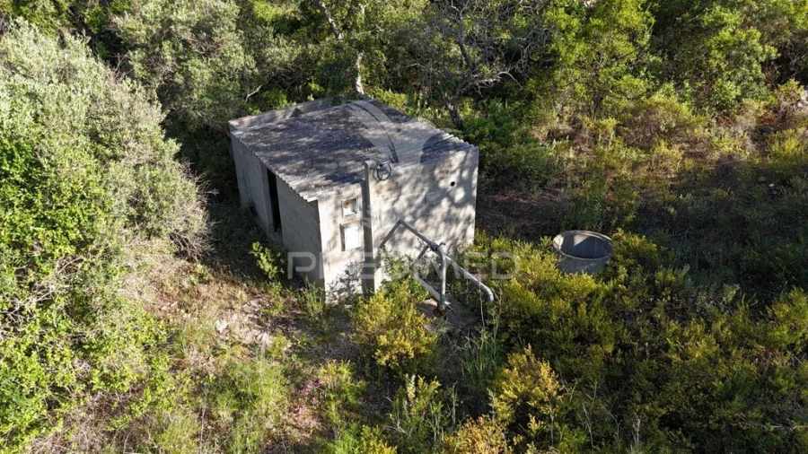 Terreno para Venda em Ferreiras Foto 5