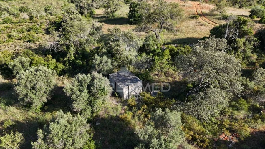 Terreno para Venda em Ferreiras
