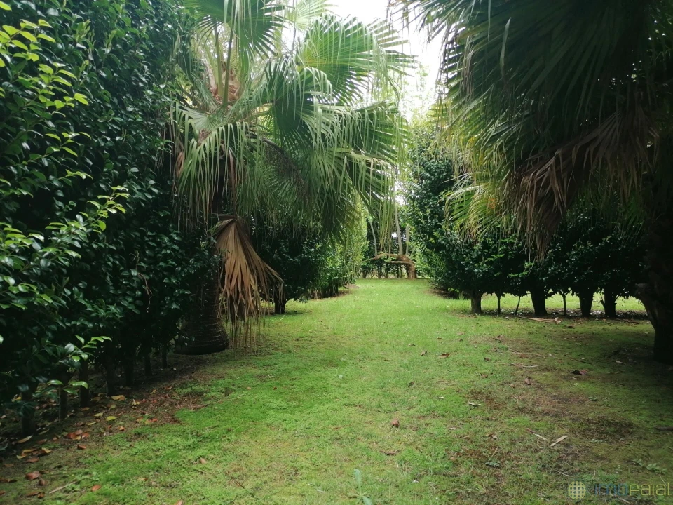 Moradia T3 para Venda em Feteira Foto 26