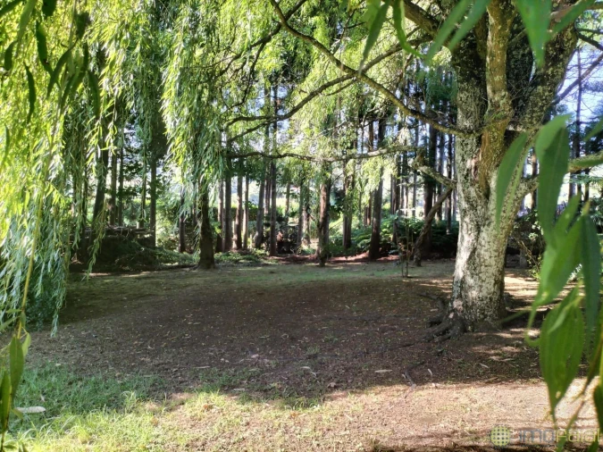 Moradia T3 para Venda em Feteira Foto 34