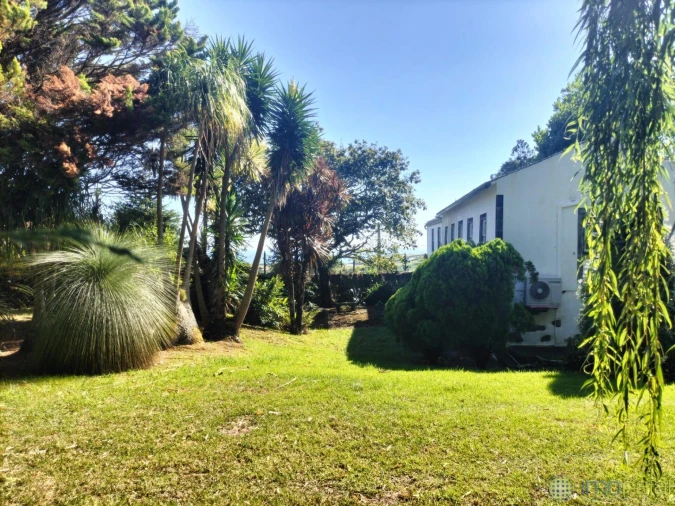 Moradia T3 para Venda em Feteira Foto 1