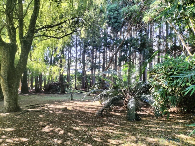 Moradia T3 para Venda em Feteira Foto 5