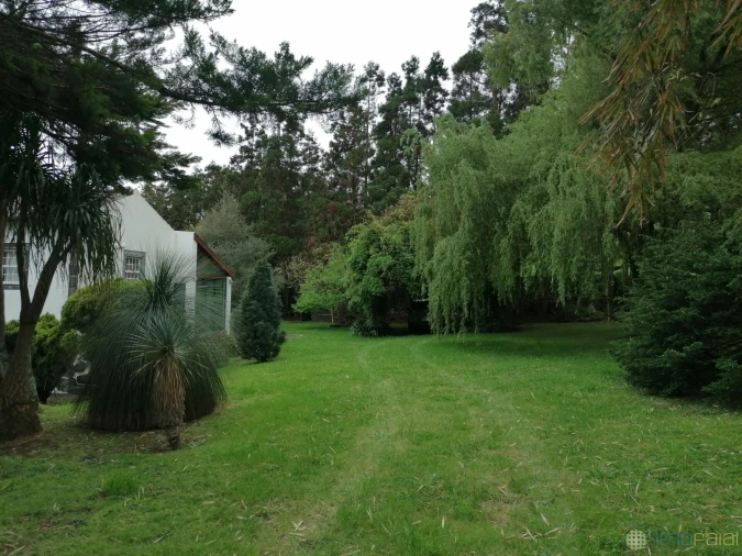 Moradia T3 para Venda em Feteira Foto 27