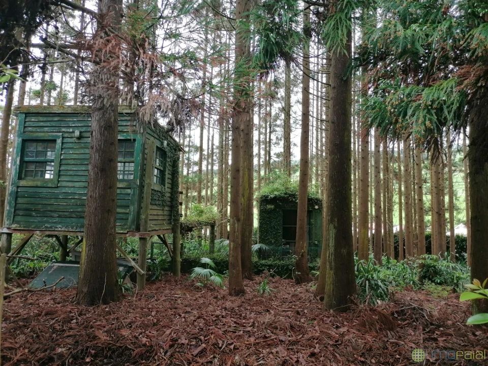 Moradia T3 para Venda em Feteira Foto 30