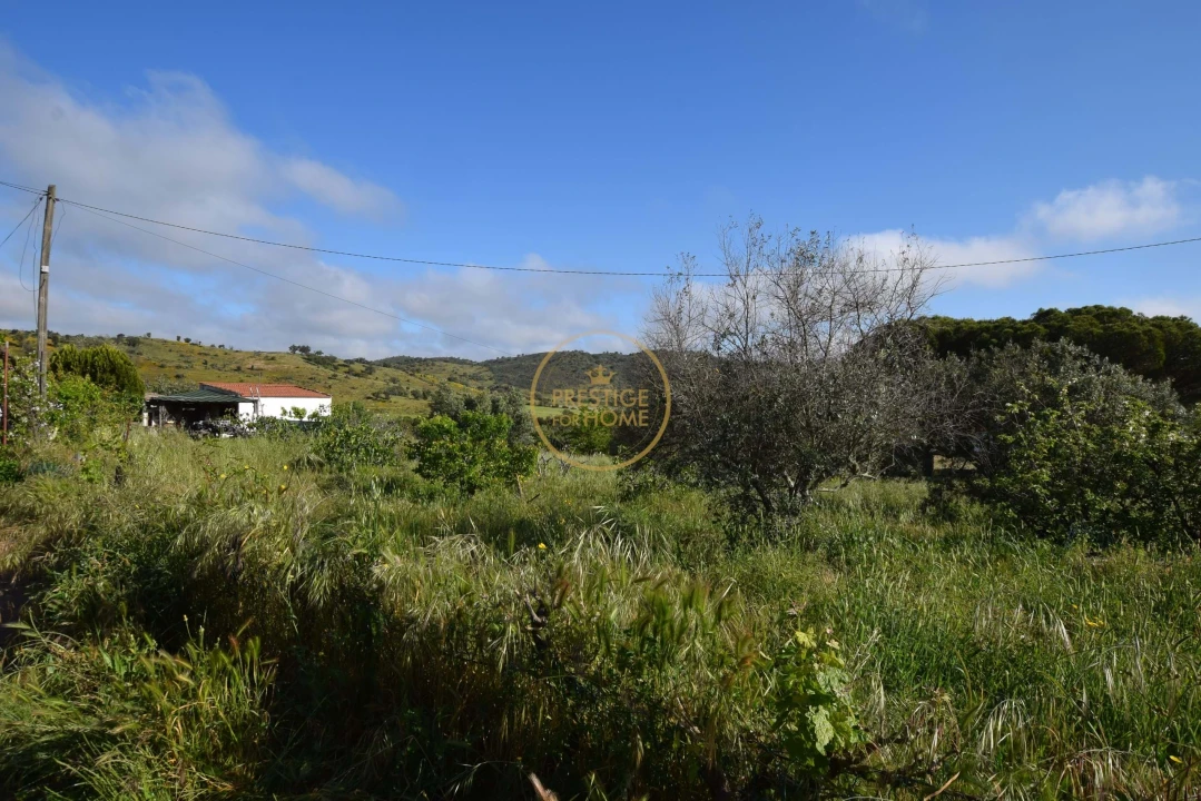 Moradia T3 para Venda em Ameixial Foto 10