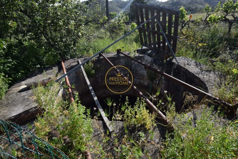 Moradia T3 para Venda em Ameixial Foto 5