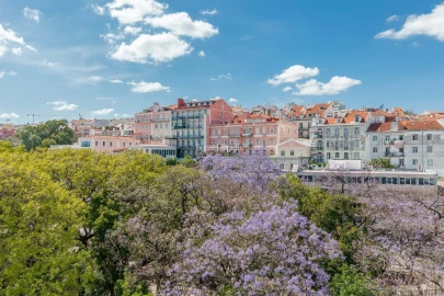 Apartamento T4 para Venda em Estrela