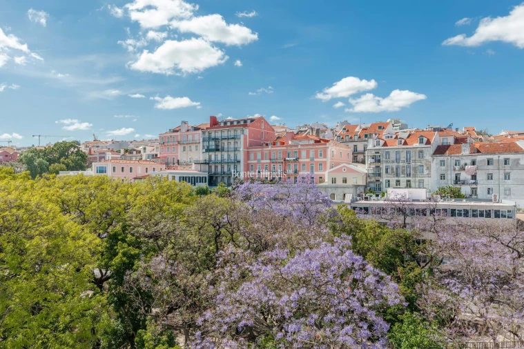 Apartamento T4 para Venda em Estrela Foto 24