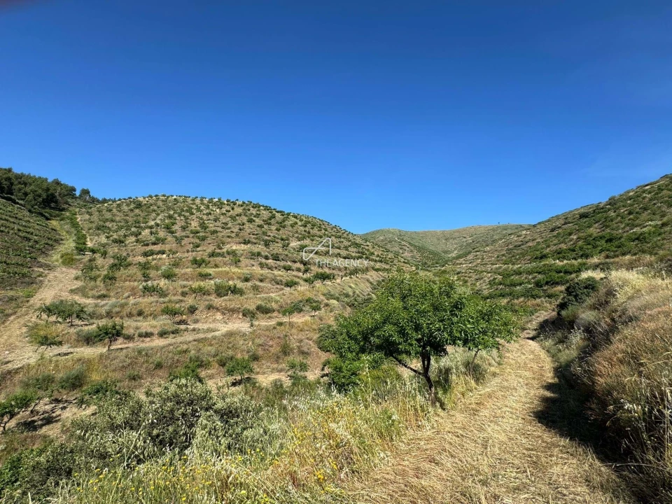 Terreno para Venda em Longroiva Foto 8