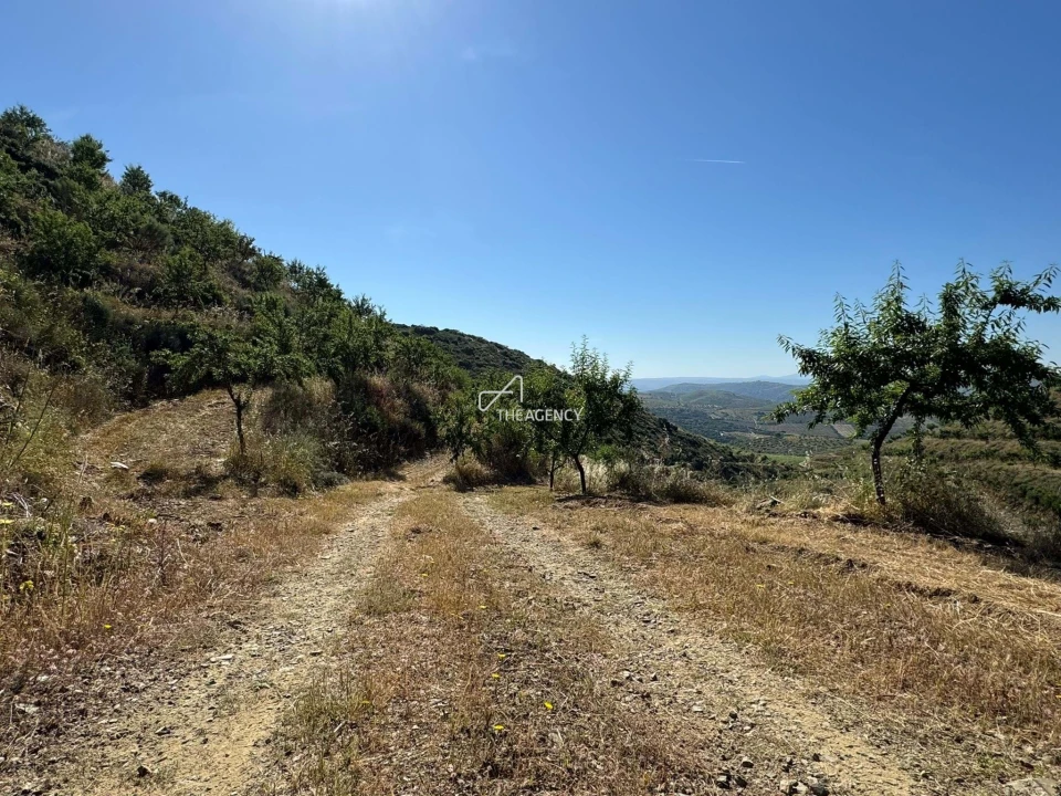 Terreno para Venda em Longroiva Foto 4