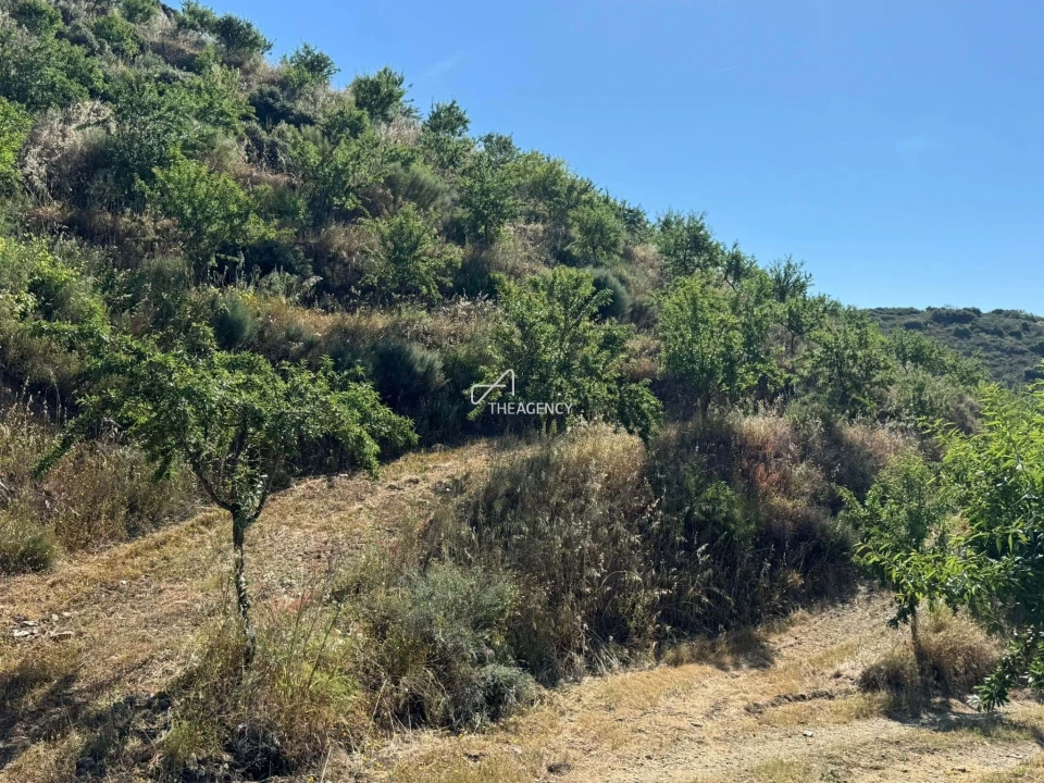 Terreno para Venda em Longroiva Foto 2