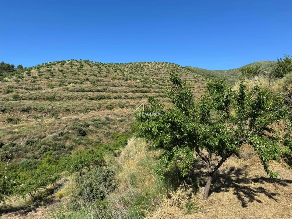 Terreno para Venda em Longroiva Foto 6