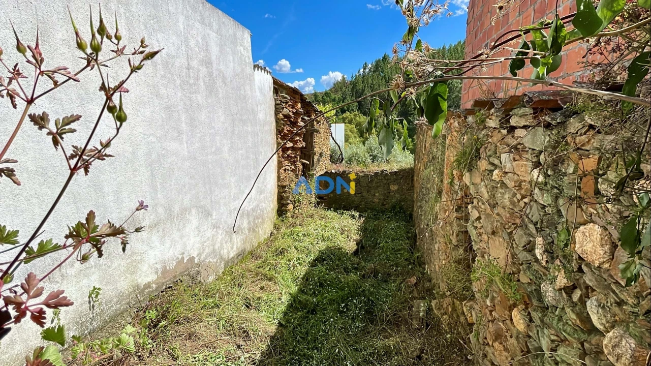 Moradia T3 para Venda em Almaceda Foto 15