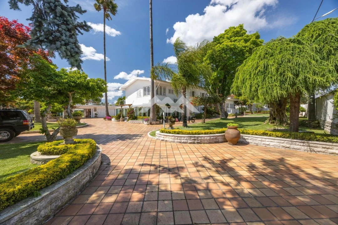 Quinta T4 para Venda em Nogueira e Silva Escura Foto 39