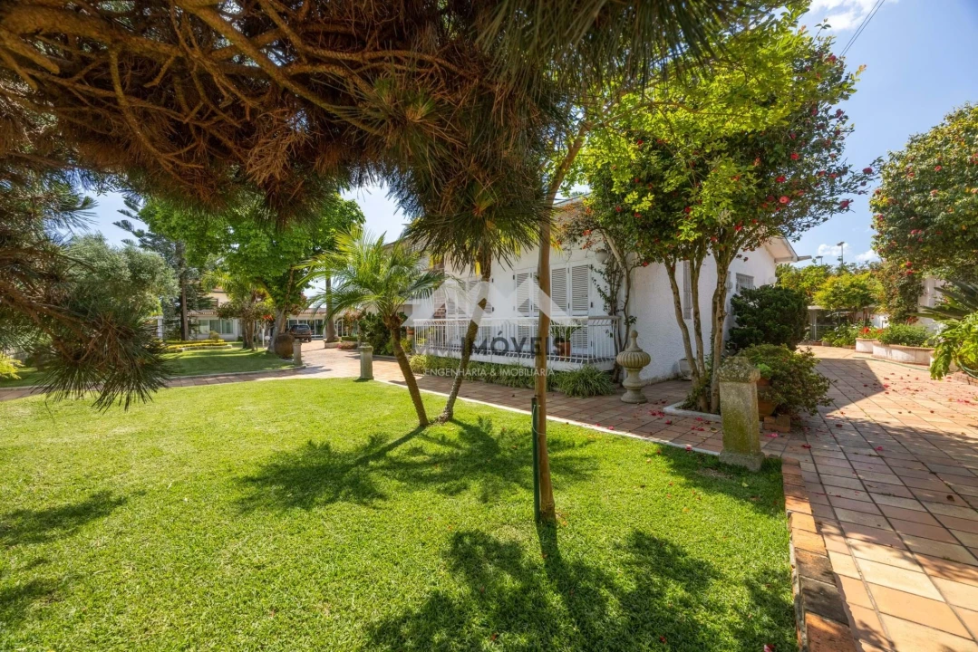 Quinta T4 para Venda em Nogueira e Silva Escura Foto 49