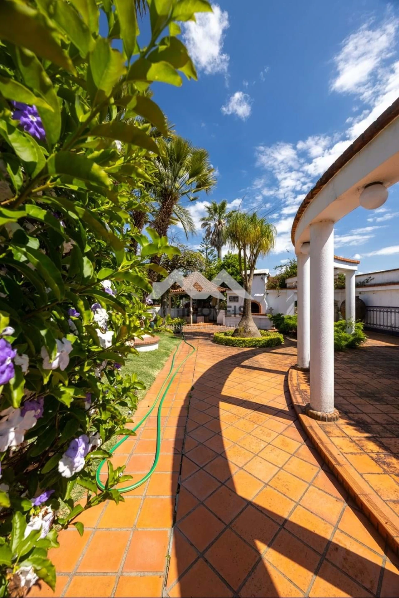 Quinta T4 para Venda em Nogueira e Silva Escura Foto 60