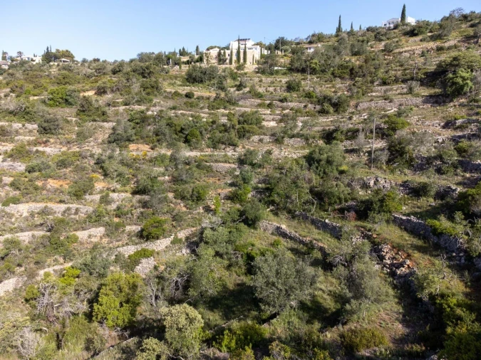 Terreno para Venda em Santa Barbara de Nexe Foto 16
