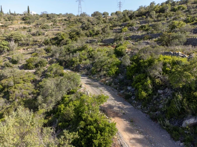 Terreno para Venda em Santa Barbara de Nexe Foto 13