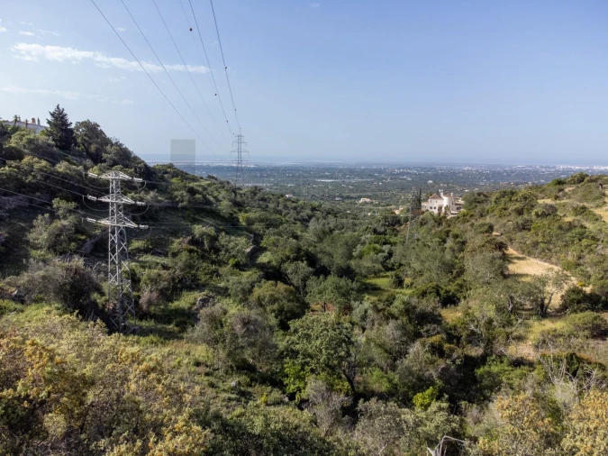 Terreno para Venda em Santa Barbara de Nexe Foto 18