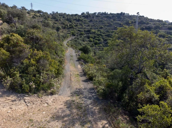 Terreno para Venda em Santa Barbara de Nexe Foto 14