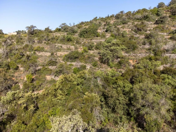 Terreno para Venda em Santa Barbara de Nexe Foto 17