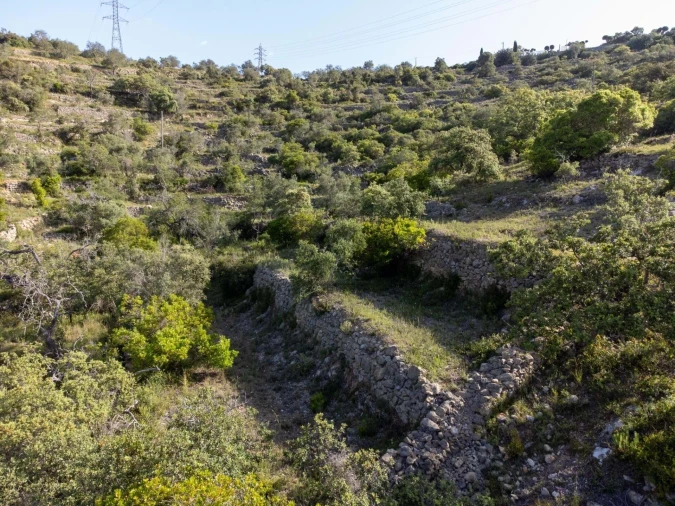 Terreno para Venda em Santa Barbara de Nexe Foto 15