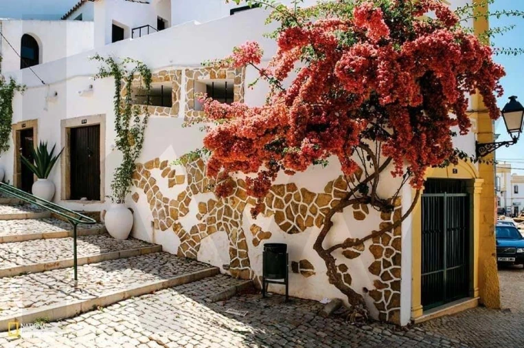 Terreno para Venda em Santa Barbara de Nexe Foto 22