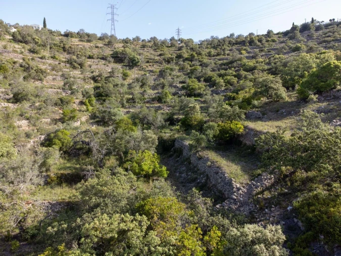 Terreno para Venda em Santa Barbara de Nexe Foto 6