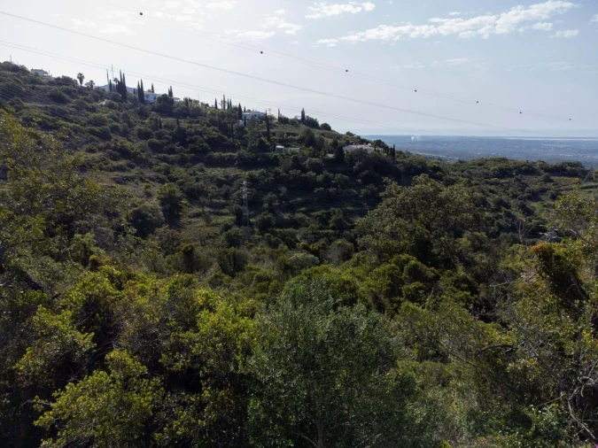 Terreno para Venda em Santa Barbara de Nexe Foto 20