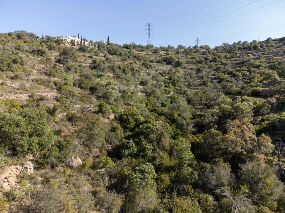 Terreno para Venda em Santa Barbara de Nexe Foto 10