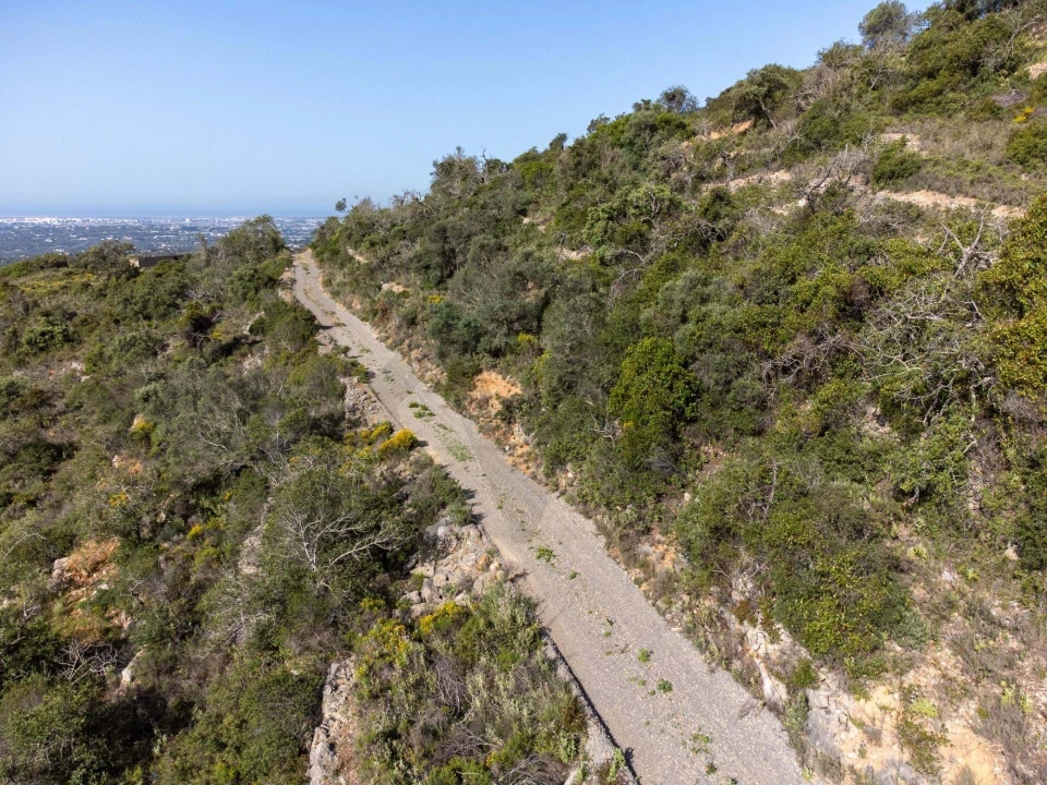 Terreno para Venda em Santa Barbara de Nexe Foto 2