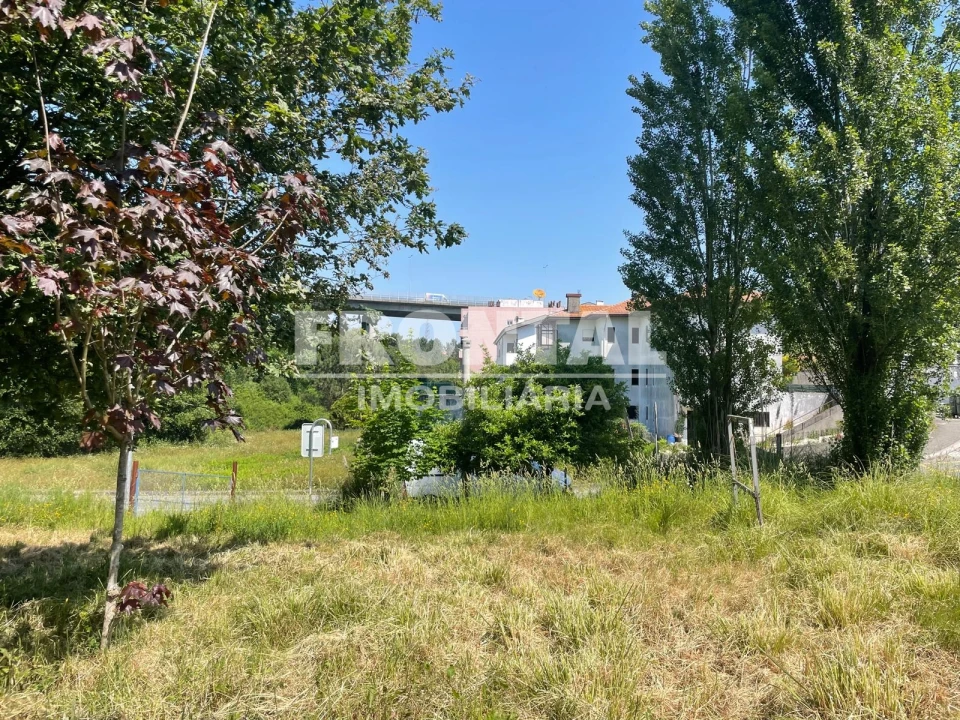 Terreno para Venda em Oliveira do Douro Foto 5