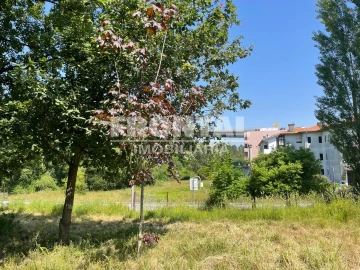 Terreno para Venda em Oliveira do Douro
