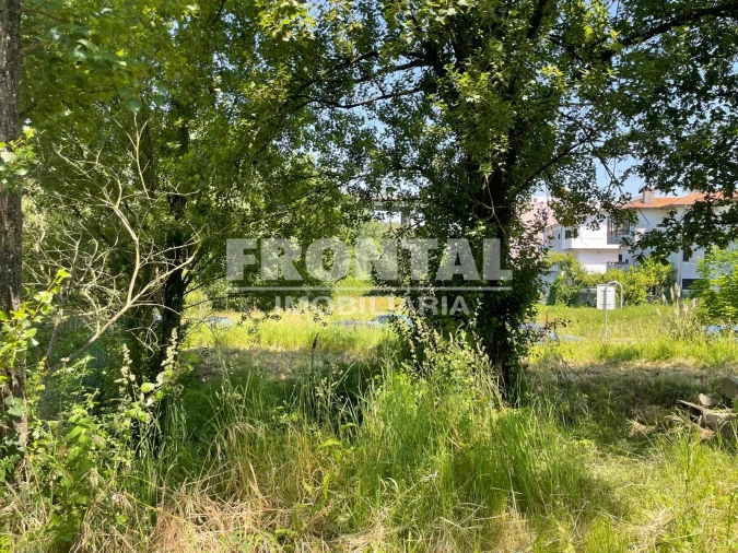 Terreno para Venda em Oliveira do Douro Foto 3
