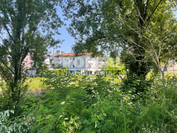 Terreno para Venda em Oliveira do Douro Foto 2