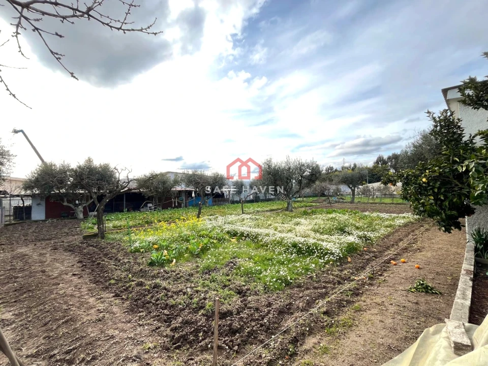 Prédio para Venda em Mangualde, Mesquitela e Cunha Alta Foto 4