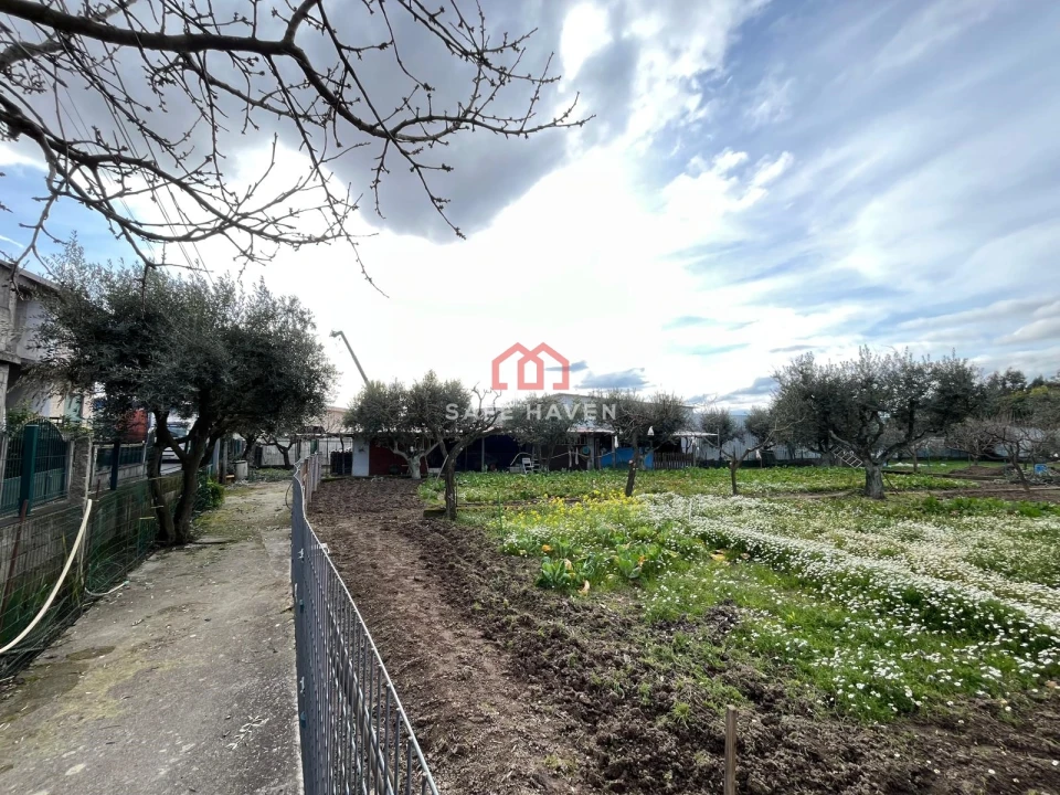 Prédio para Venda em Mangualde, Mesquitela e Cunha Alta Foto 16