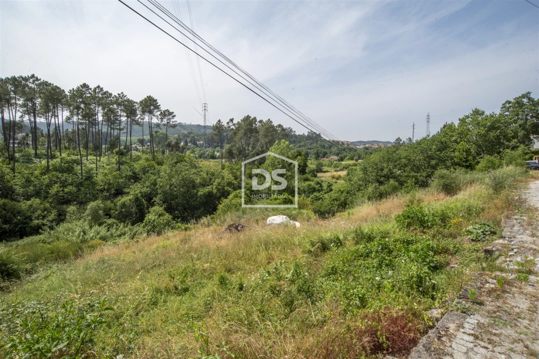 Terreno para Venda em Termas de São Vicente Foto 10