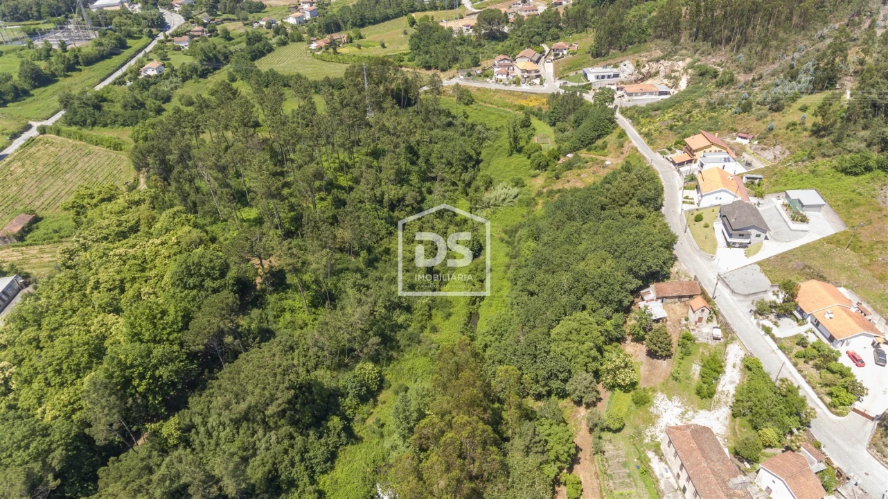 Terreno para Venda em Termas de São Vicente Foto 5