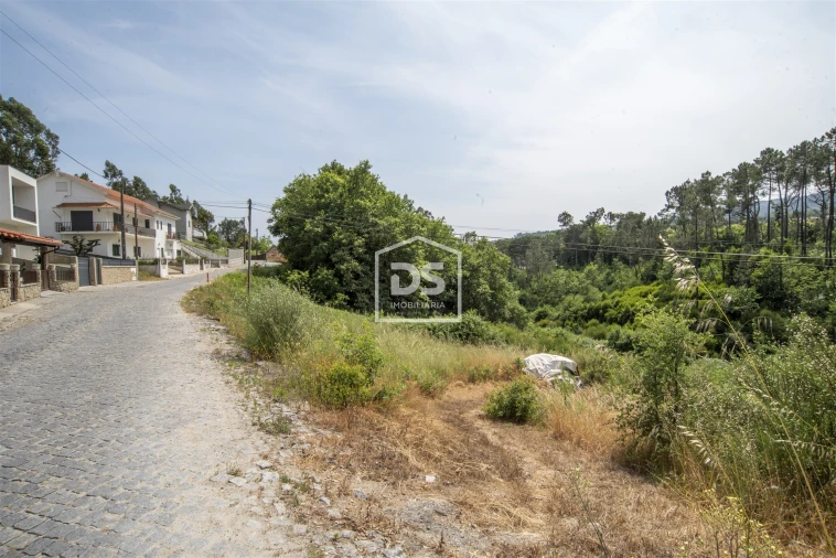 Terreno para Venda em Termas de São Vicente Foto 9