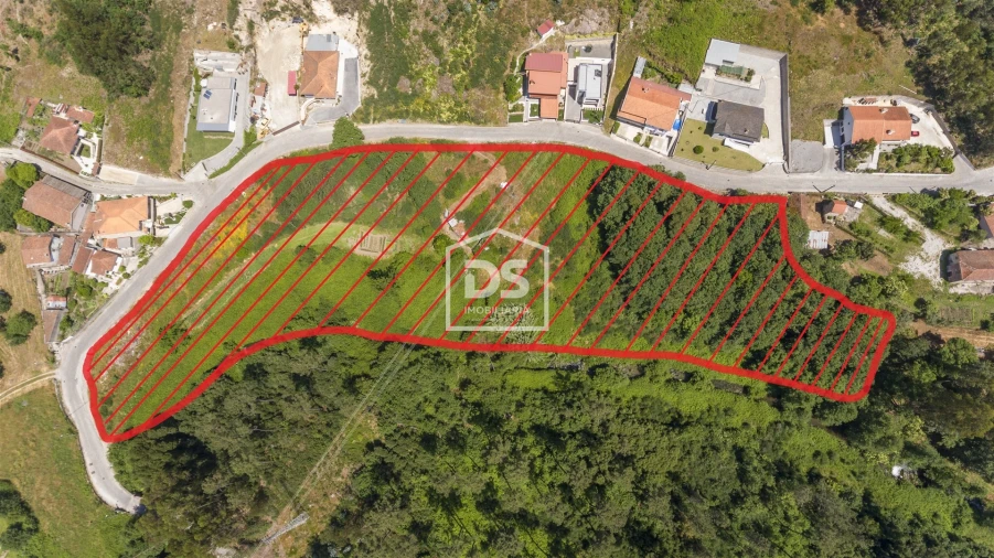 Terreno para Venda em Termas de São Vicente Foto 8