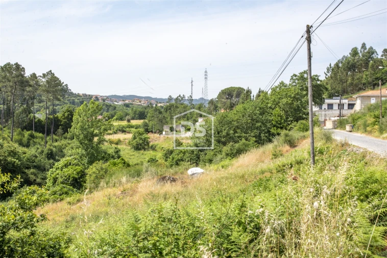Terreno para Venda em Termas de São Vicente Foto 12